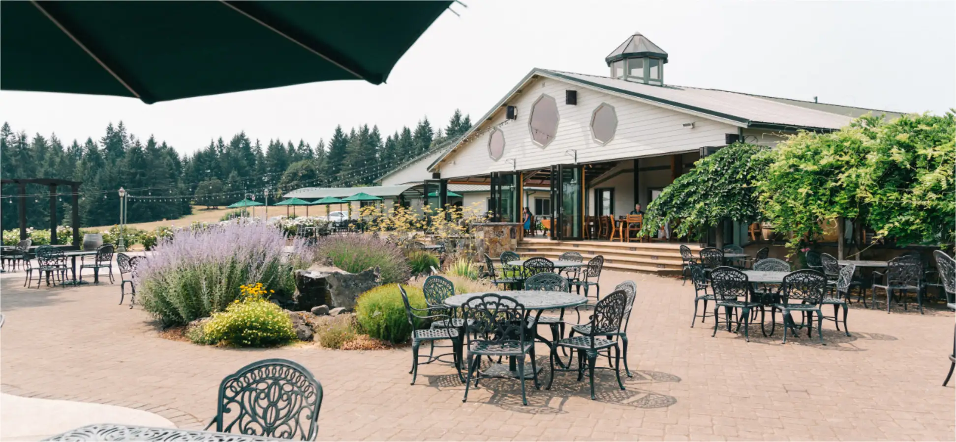 The Sweet Cheeks tasting house with its octagonal windows, open patio doors, lavender beds and outdoor seating