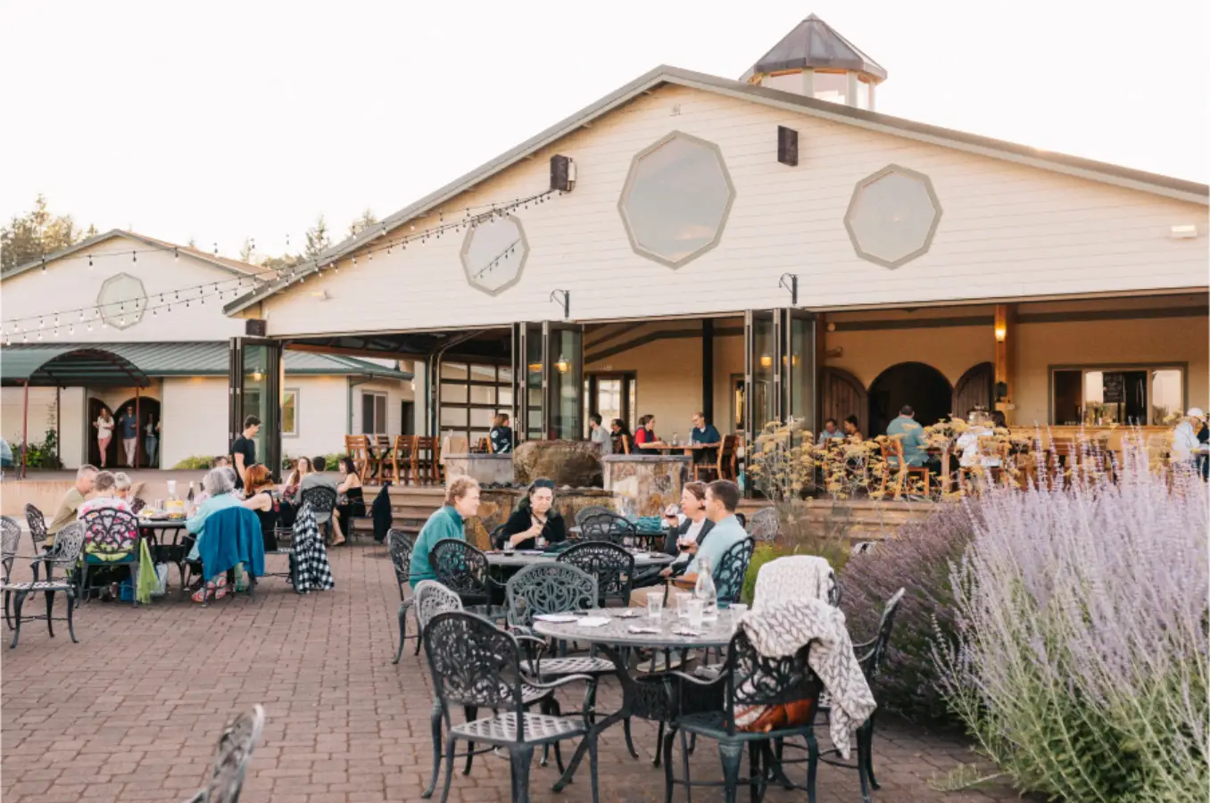 Guests seated at tables on the Sweet Cheeks patio at golden hour with string lights and lavender beds beside the tasting house