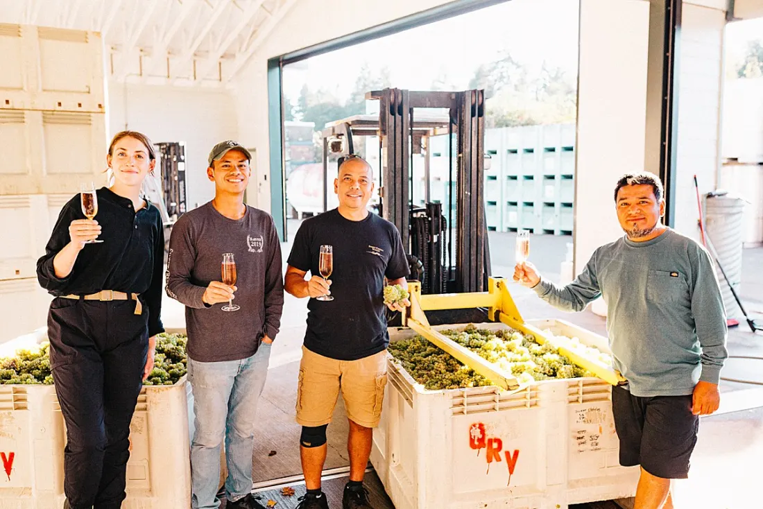 The Sweet Cheeks harvest crew raising glasses of sparkling wine beside bins of hand-picked white grapes at the winery crush pad